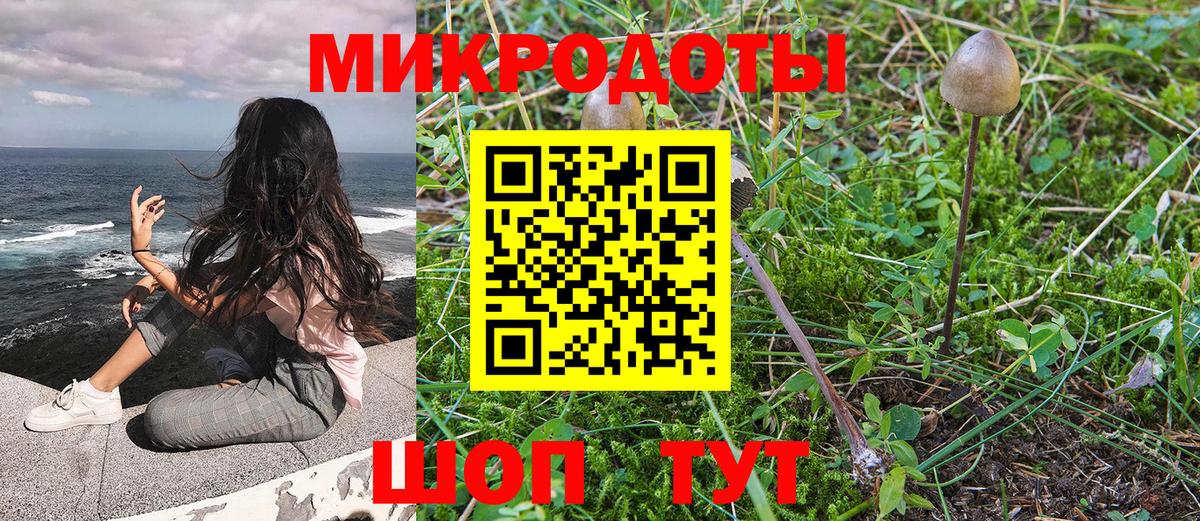 Балахна  Псилоцибиновые грибы Psilocybe  Вход с VPN  Галлюциногенные грибы прущие грибы 