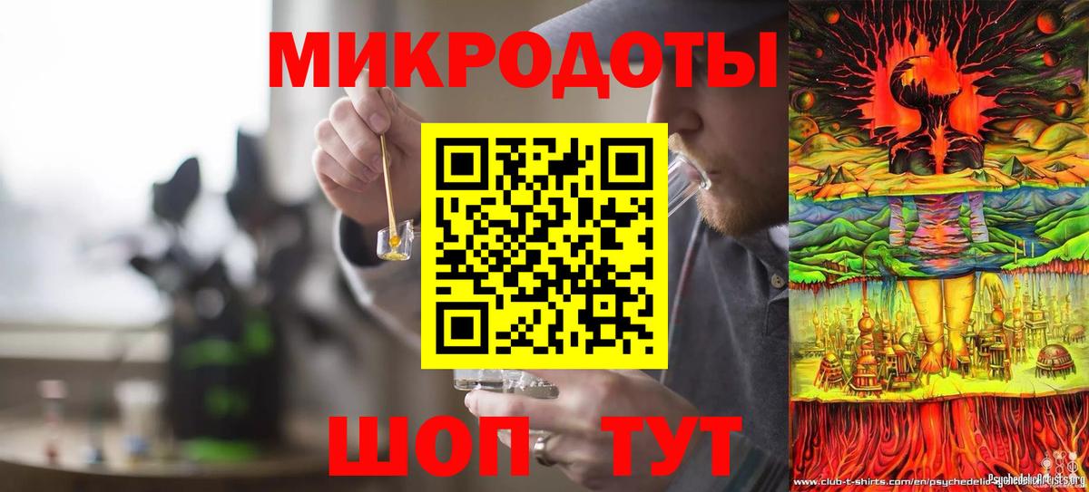 Псилоцибиновые грибы Cubensis Балахна